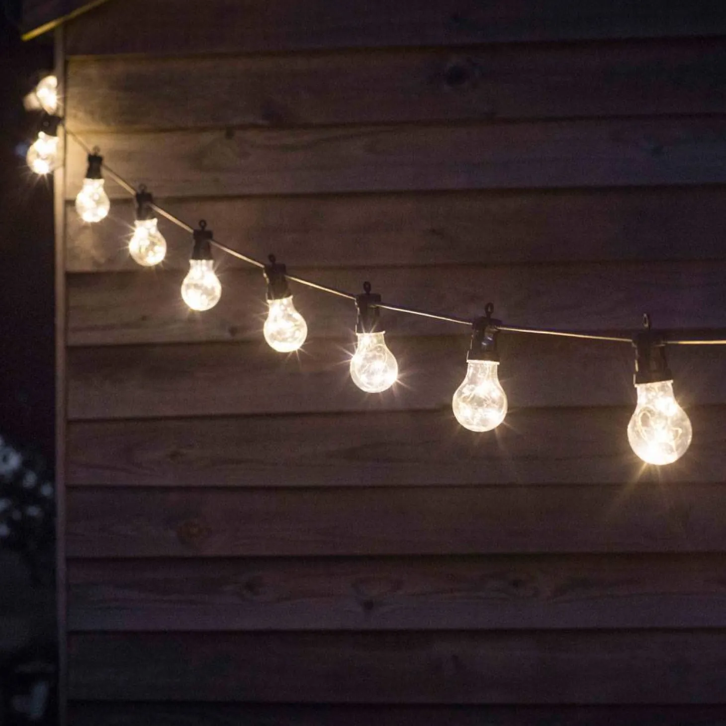 Festoon Lights