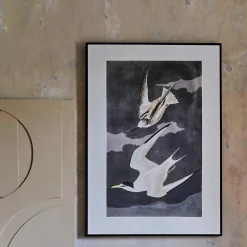 Framed Birds in Flight Print