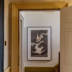 Framed Birds in Flight Print
