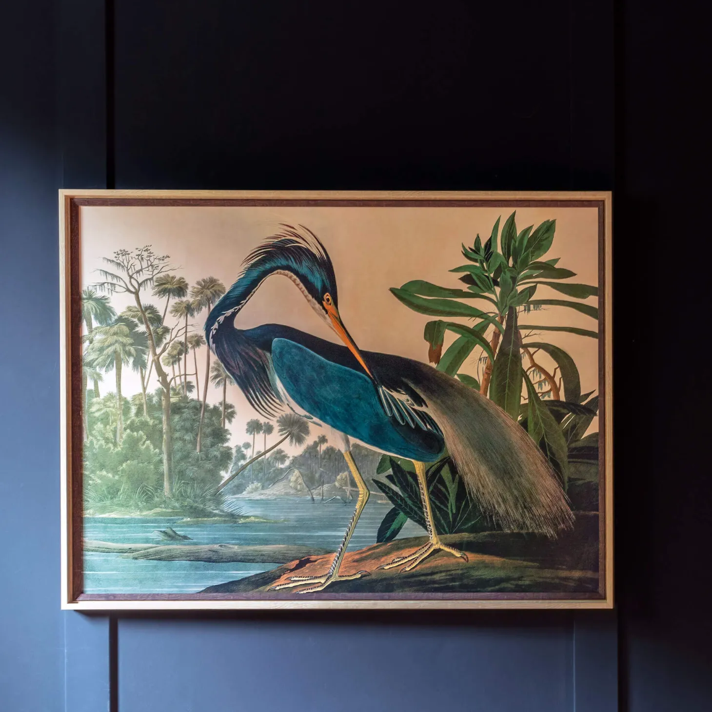 Framed Black Heron Landscape Print