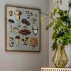 Framed Fungi XIII Print