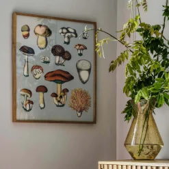 Framed Fungi XIII Print