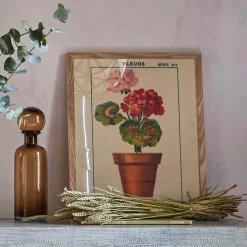 Framed Geranium Print