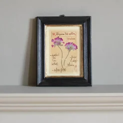 Framed Pelargonium Pressed Flowers