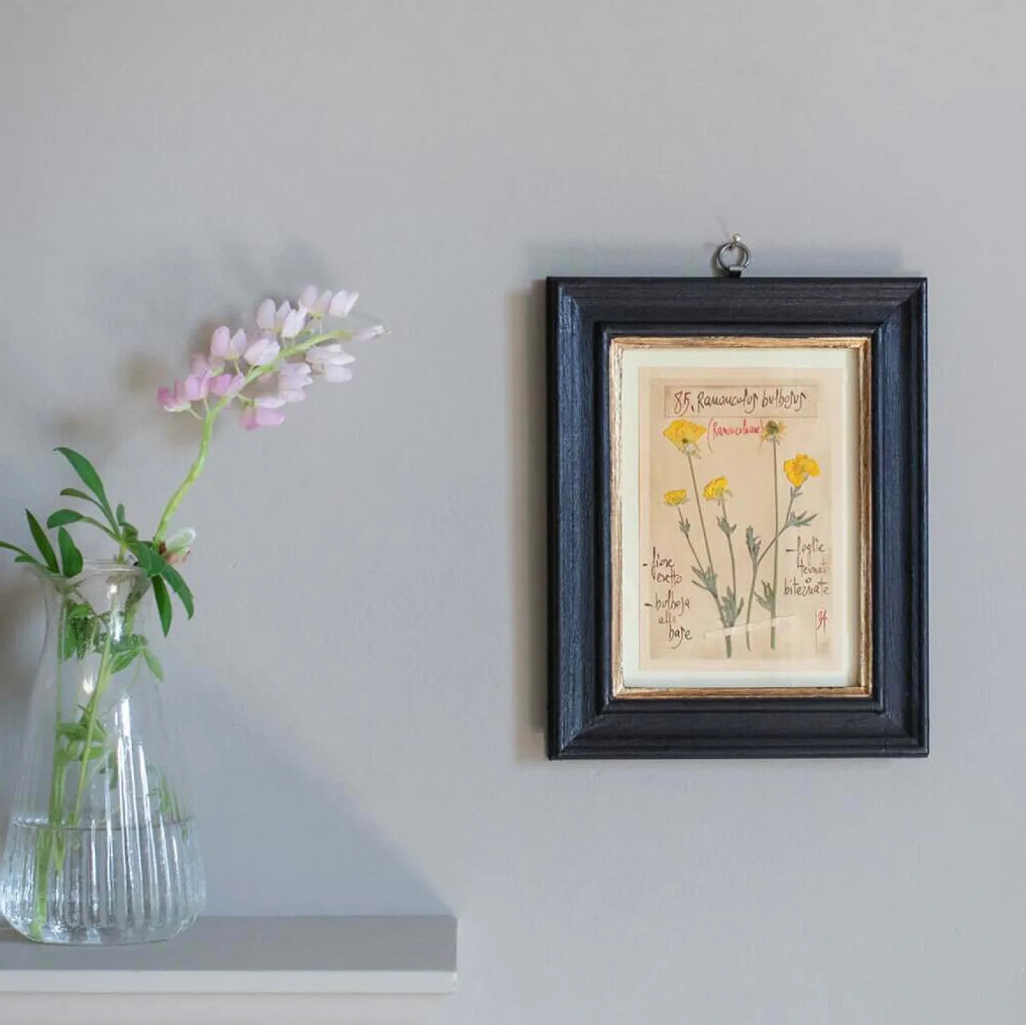 Framed Ranunculus Pressed Flowers