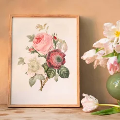 Framed Rose Anemonastrum Clematis Print