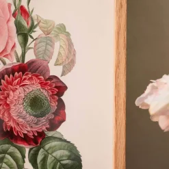 Framed Rose Anemonastrum Clematis Print