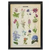 Framed Vintage Flowers Print