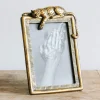 Gold Panther Frame