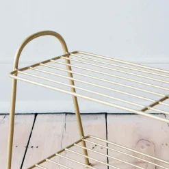 Gold Shoe Rack