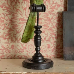 Green Parrot on a Perch