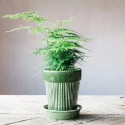 Green Ribbed Glazed Vase