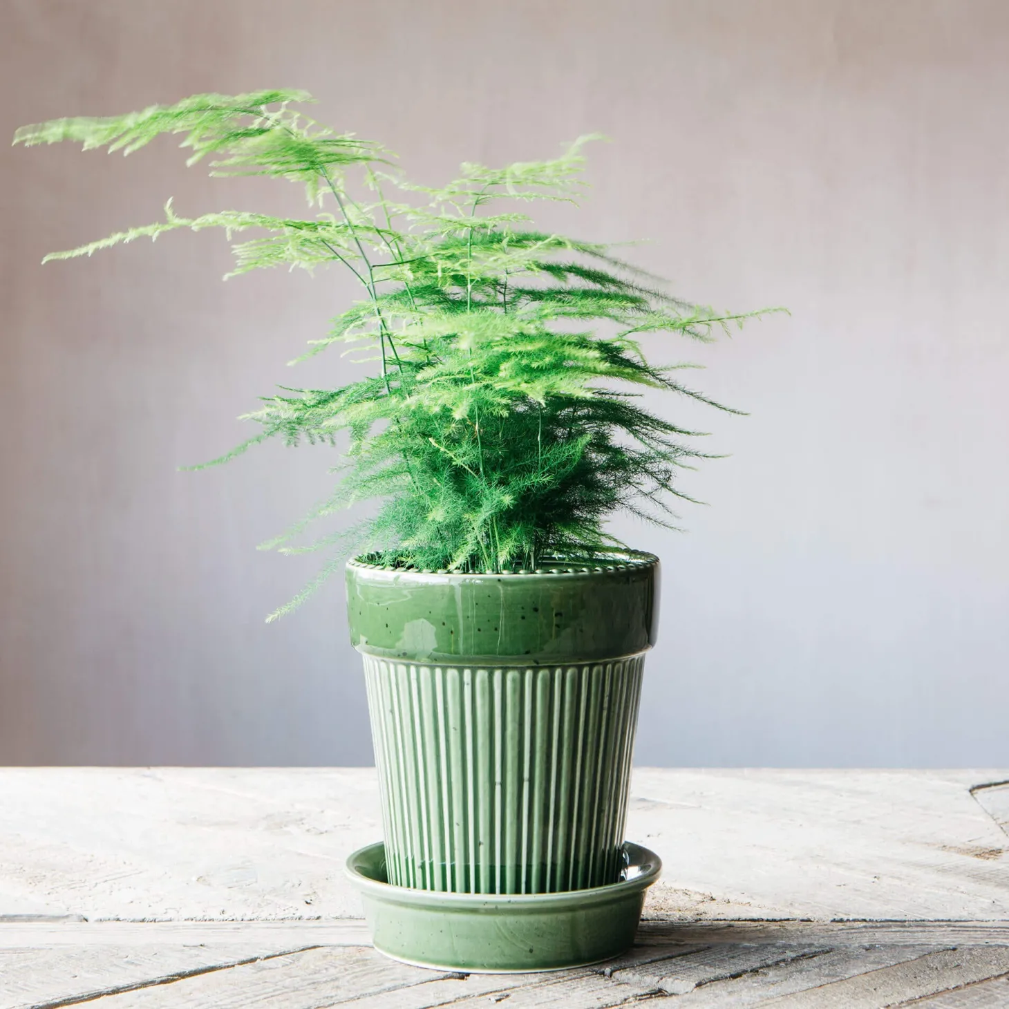 Green Ribbed Glazed Vase