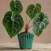 Green Ribbed Plant Pot