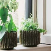 Green Wavy Ceramic Plant Pot
