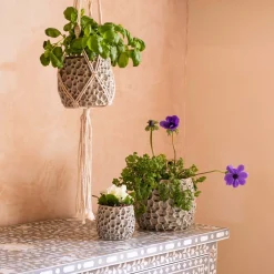 Grey Shell Plant Pots