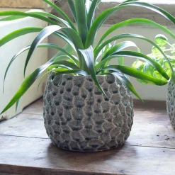 Grey Shell Plant Pots