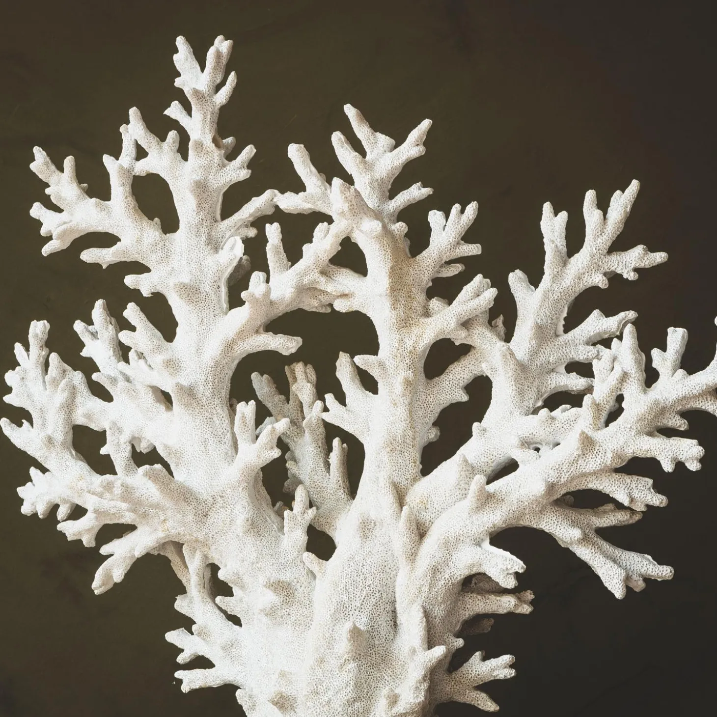 Large Faux White Coral Tree