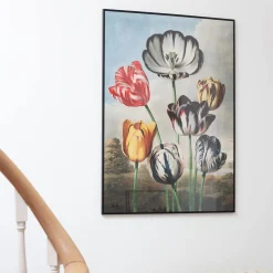 Large Framed Tulips Print