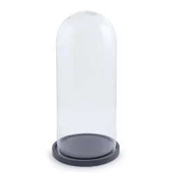 Large Glass Dome
