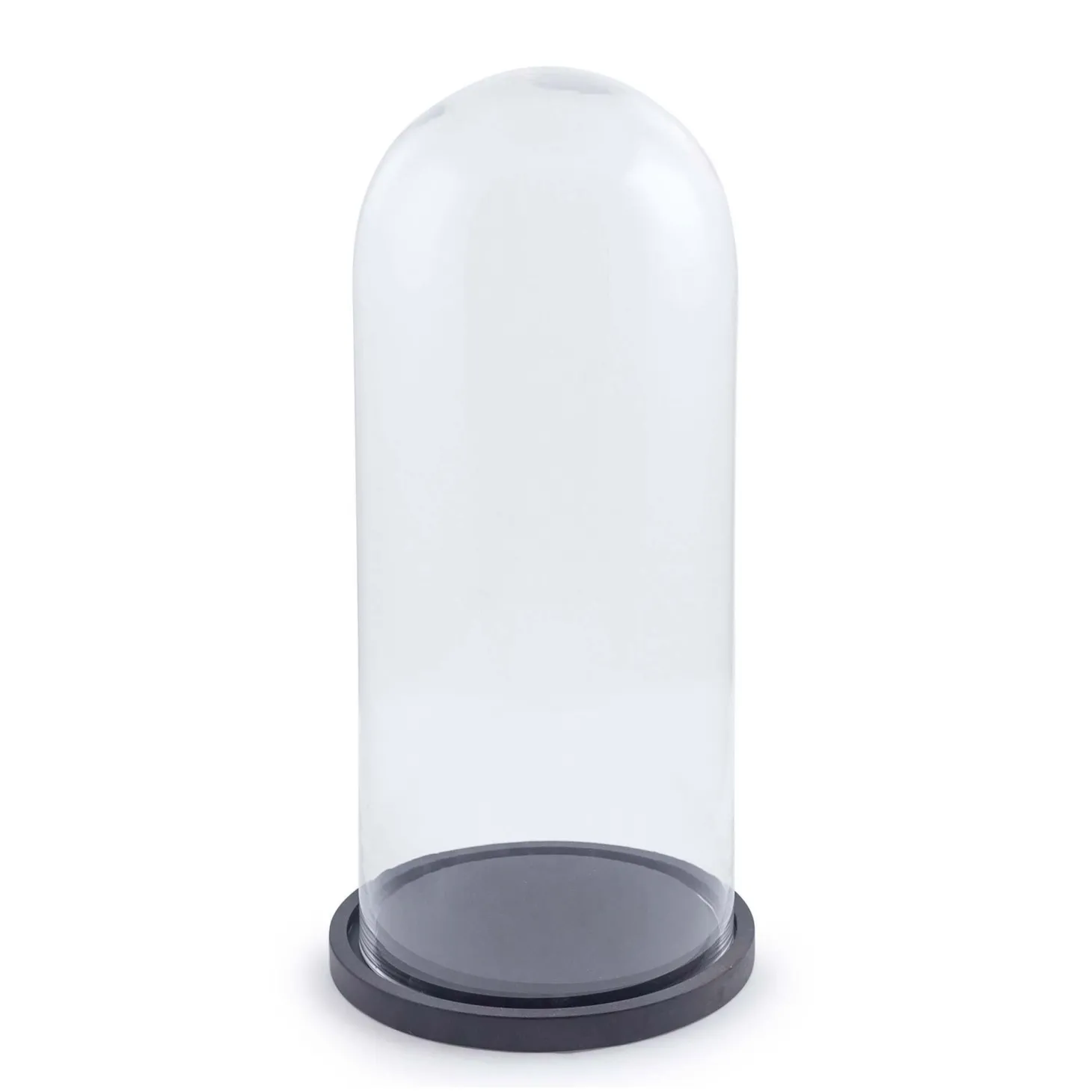 Large Glass Dome