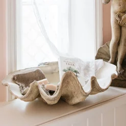 Large Resin Clam Shell
