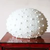 Large Urchin Lamp