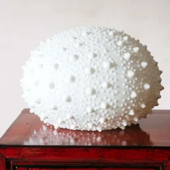 Large Urchin Lamp