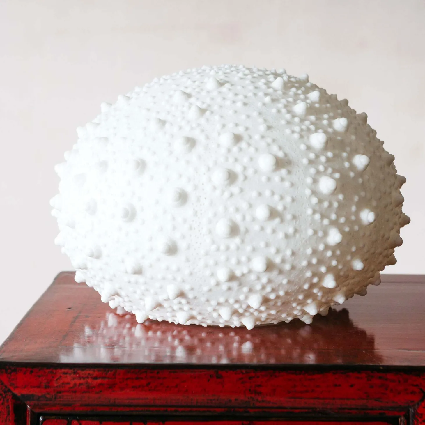 Large Urchin Lamp