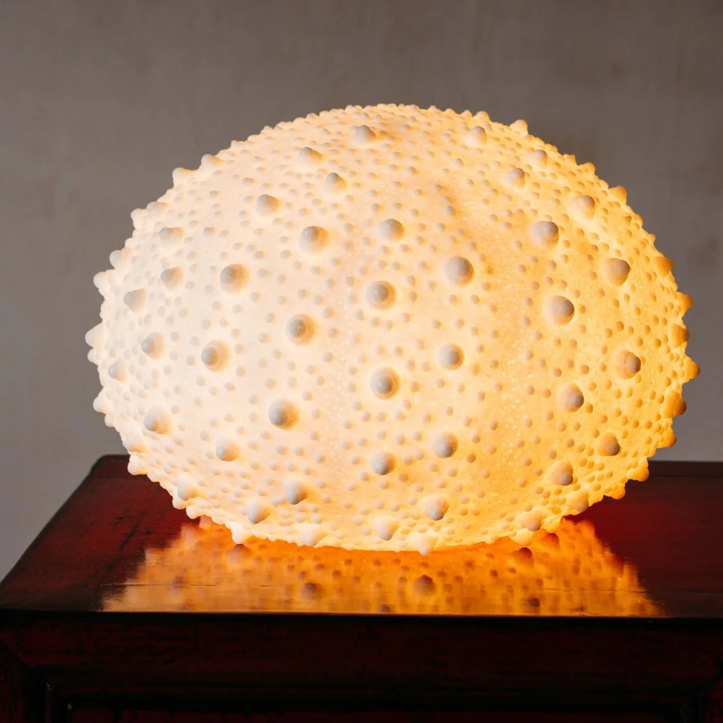 Large Urchin Lamp