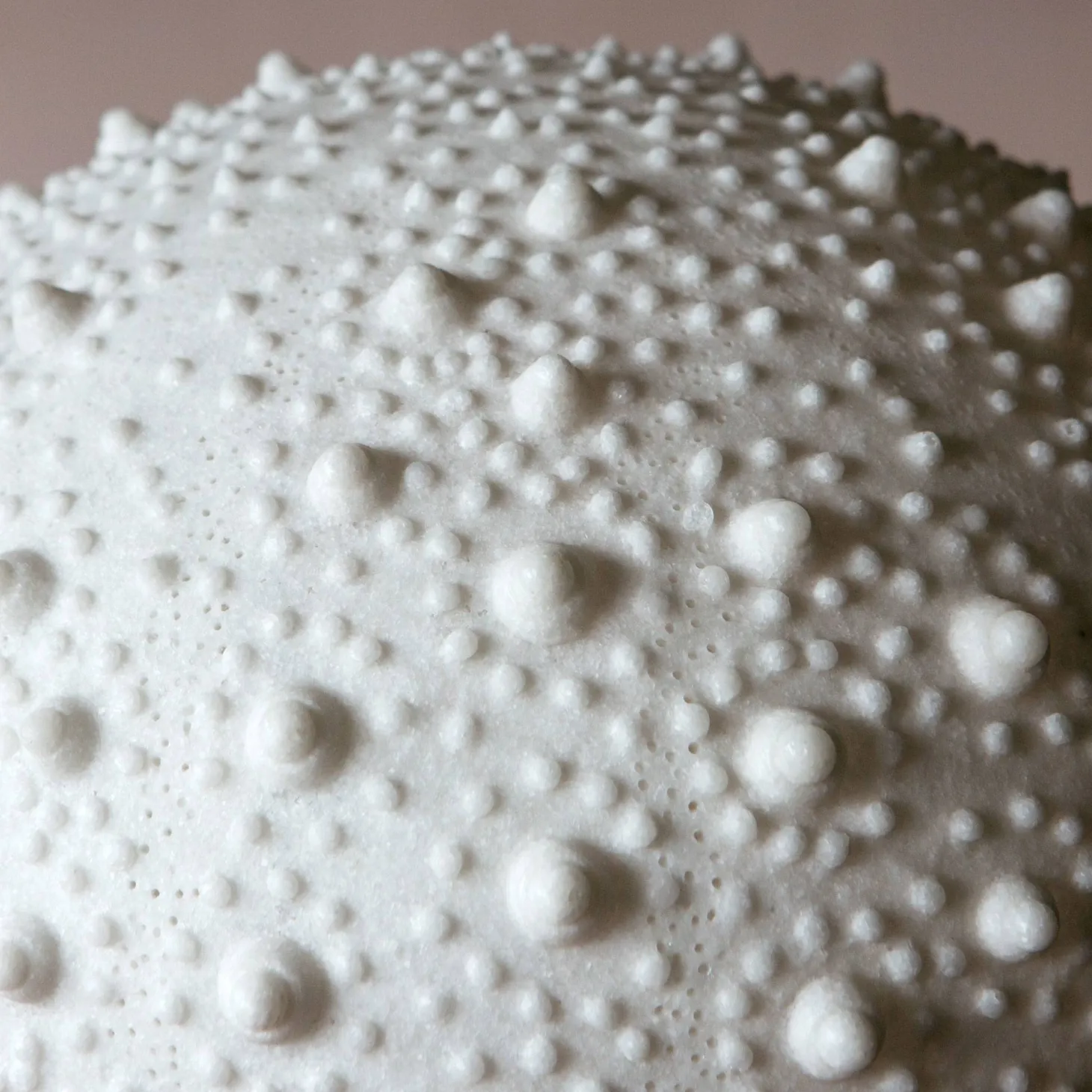 Large Urchin Lamp