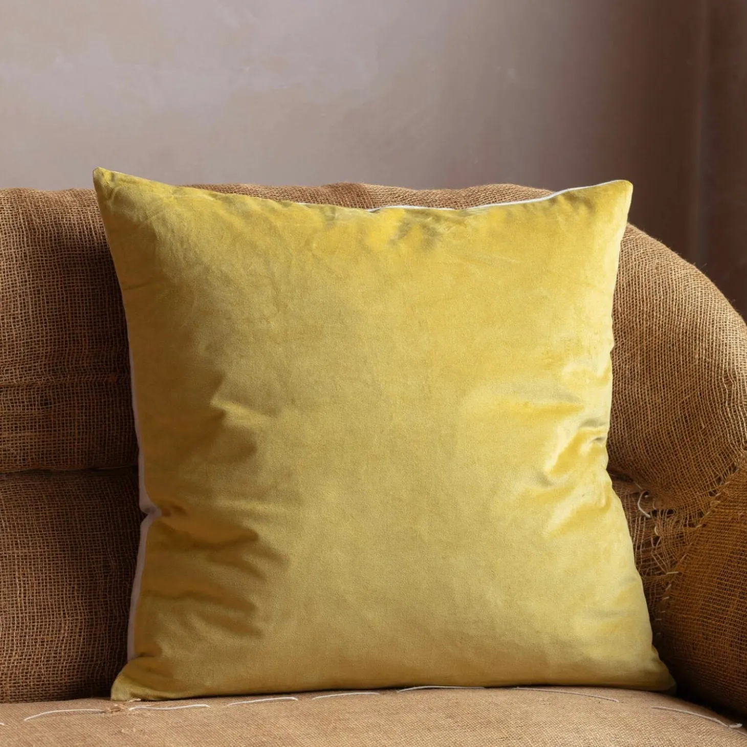 Large Velvet and Linen Backed Cushions