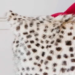 Leopard Print Cushion