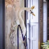 Majesty Swan Head