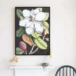 Medium Framed Blooming Magnolia Print