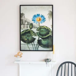 Medium Framed Blue Water Lily Print