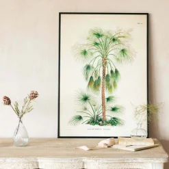 Medium Framed Exotic Palm Print