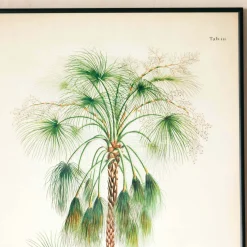 Medium Framed Exotic Palm Print