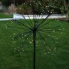 Medium Outdoor Dandelion Light
