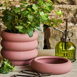 Medium Rose Bubble Plant Pot