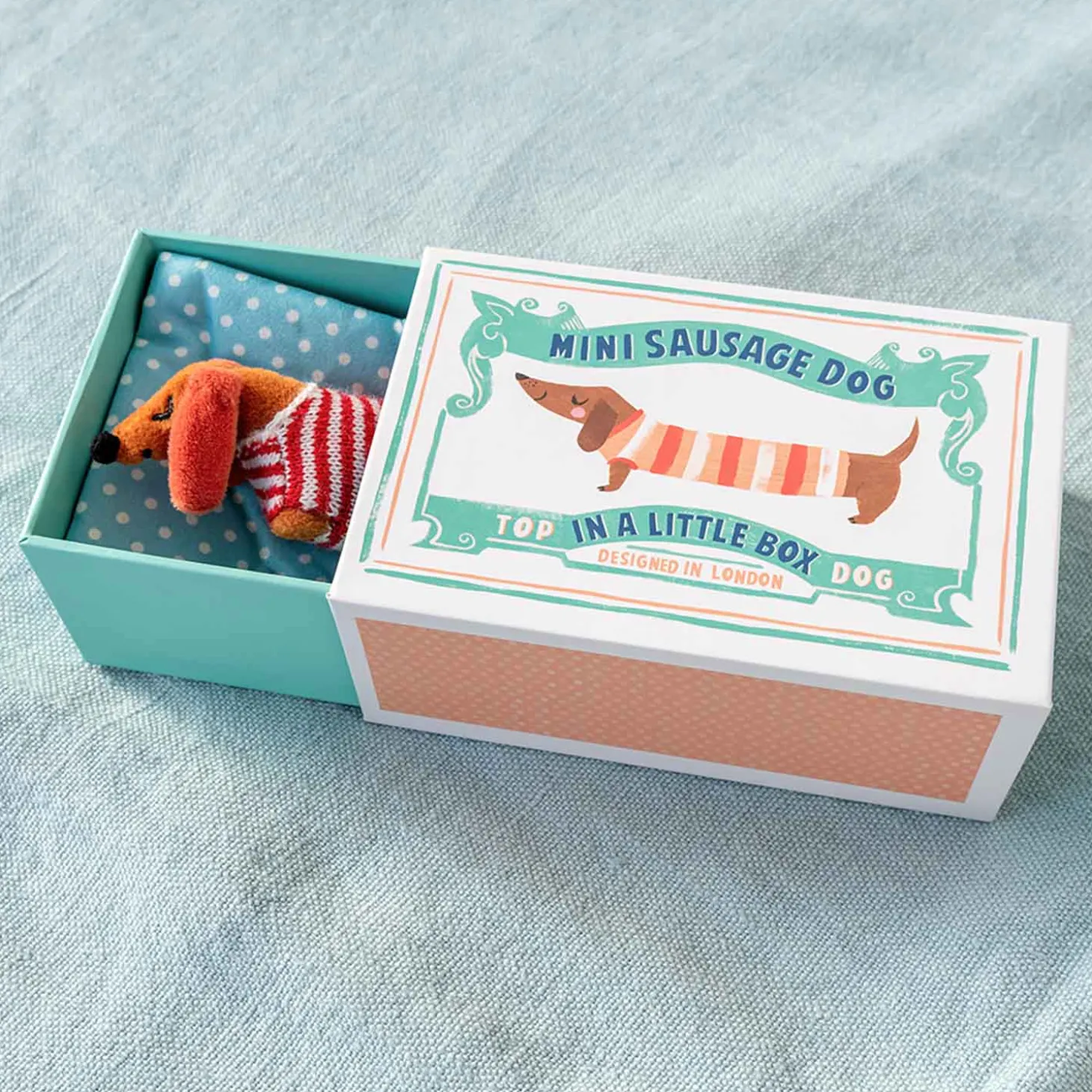 Mini Sausage Dog In A Box
