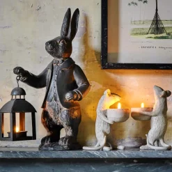 Mr Darcy Rabbit Lantern