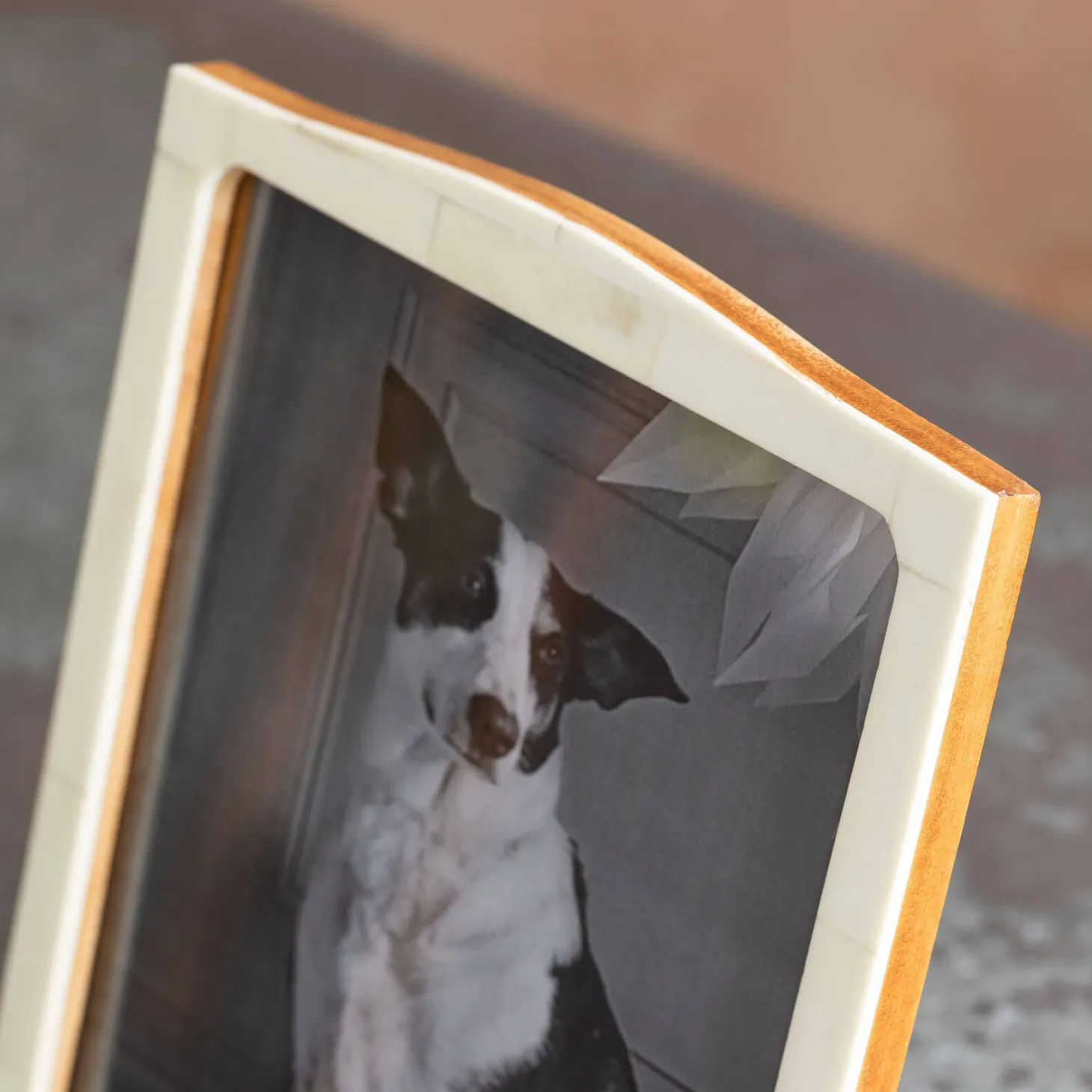 Natural Bone Arch Photo Frames