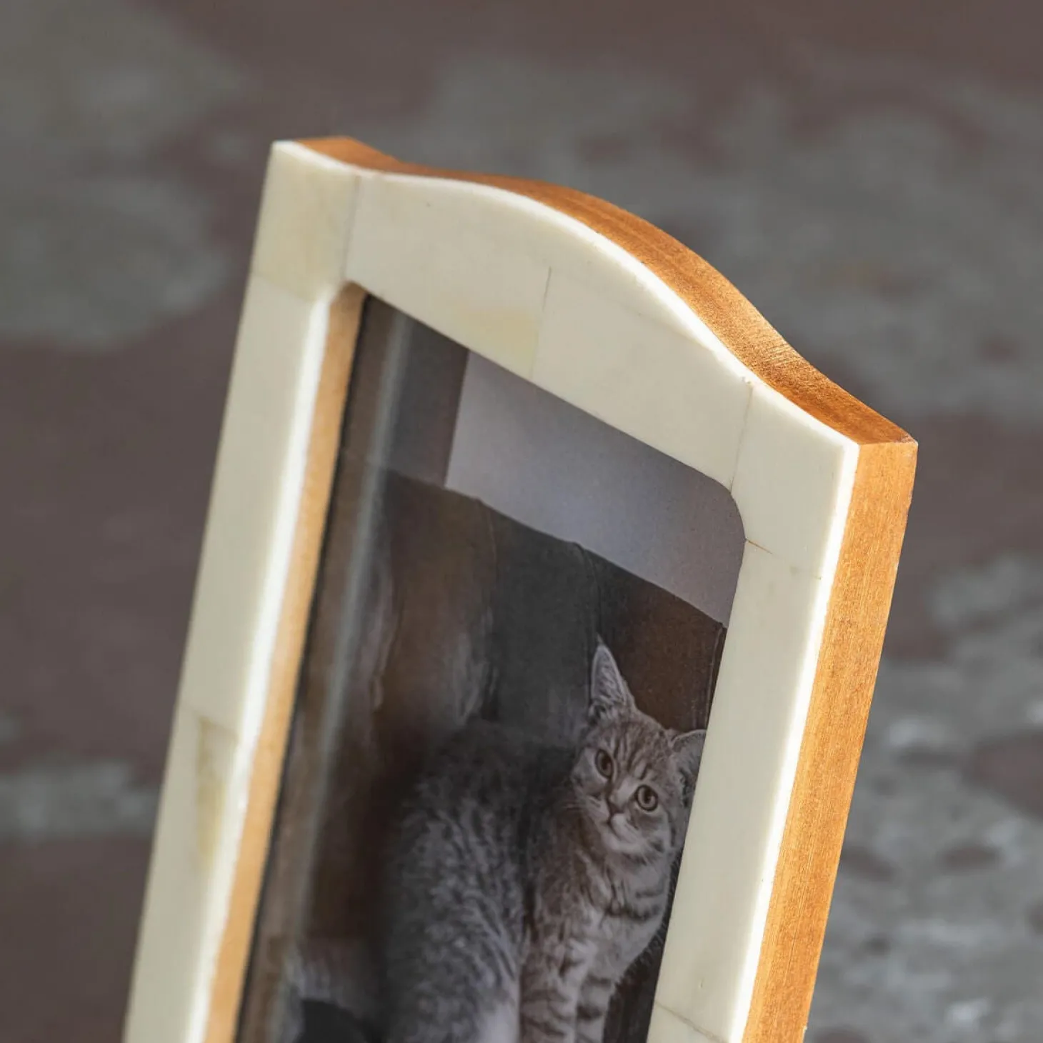 Natural Bone Arch Photo Frames