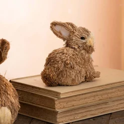 Natural Bristle Bunny Decoration