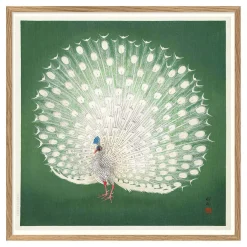 Oak Framed Peacock Prints