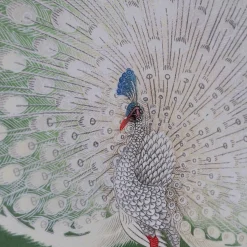 Oak Framed Peacock Prints