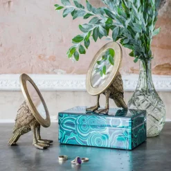Oval Duck Mirror