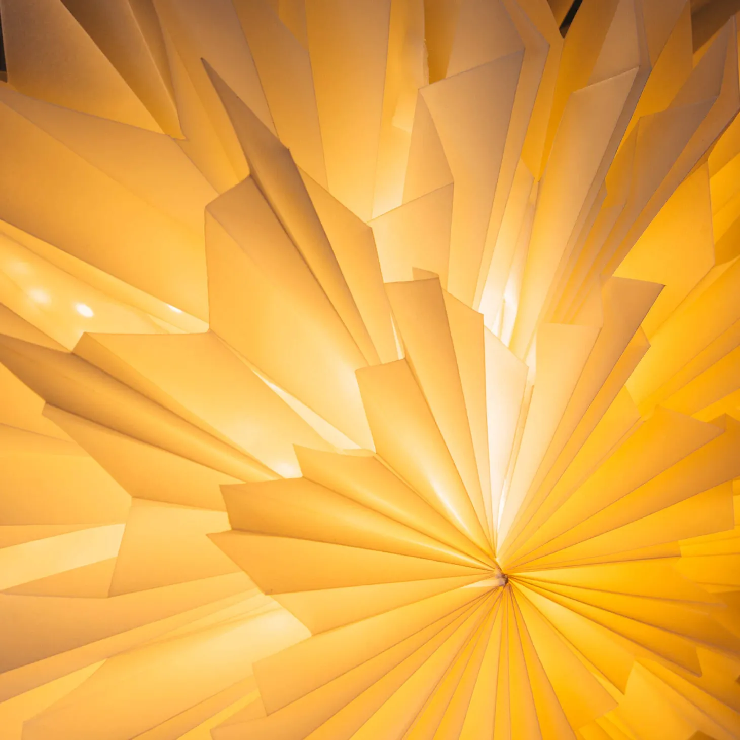 Paper Shades