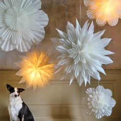 Paper Shades